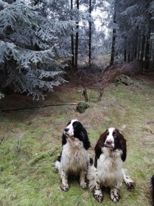 Dobře, ještě se vyfotím s mámou Mendy.