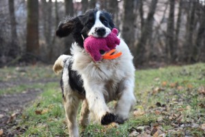 Xarro rád nosí cokoliv...