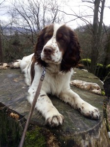 Xanny kámoška do nepohody