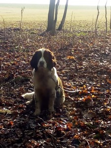 Xanny je také kus feny!