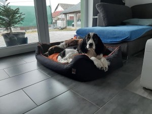 Xia se svou kámoškou.