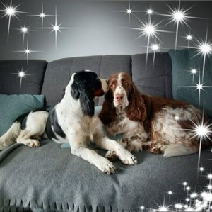 Dáš mi pusu kámo? Xia