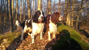 Ulaika (Mia) má novou kámošku Mady.