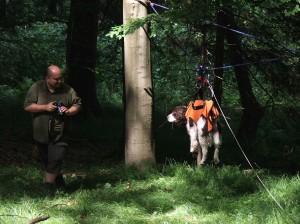 Xaro v záchranařské lanovce, fotí ho páníček.