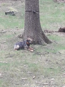 Edy se učí odložení.