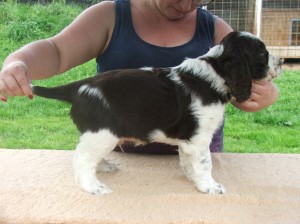 Yordan ne a ne chvíli v klidu postát. Nakonec se podařil alespoň tento postojík.