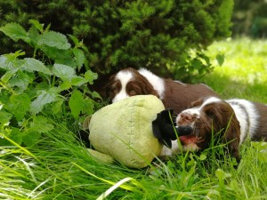 Rádi si hrajeme, ani kopřivy nám nevadí.