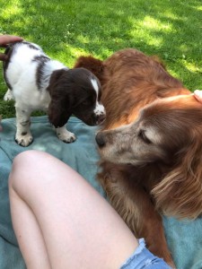 Yordanka se seznamuje s novým přítelem.