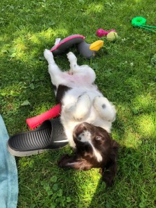 Yordanka už řádí v novém domově jako nic.