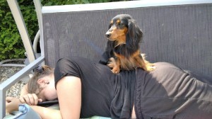 Dceru své paničky Tami také hlídá.