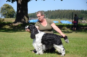 Nero z Větrné paseky- národní výstava výborný 1 - třída pracovní - foto ze srazu 2020