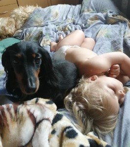 Ajka je vrchní hlídač dětí.