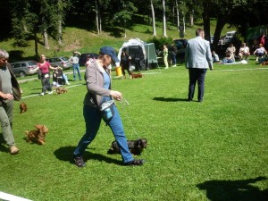 Capík byl dokonce i na výstavě, ale nedařilo se mu...