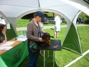 Capíkovi se výstava nelíbila, natož aby ho někdo prohlížel na stole. Příště to snad vyjde!