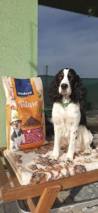 Xia - vítěz zkoušek vloh. OMS Frýdek-Místek.