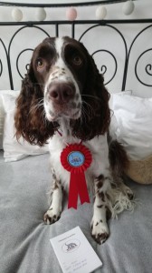 Uriana (Meggie) je velká šikula a její panička také.