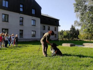 Giuli předvádí dětem ve škole v přírodě ve Chřibské, jak se hledá a přináší zvěř.