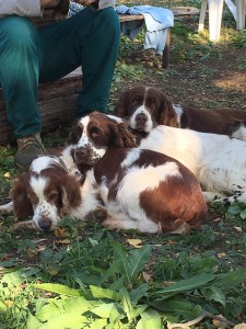 Fário se svými kamarády - třetí zezpoda.