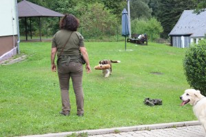 Giulian hledal a přinesl atrapu srsnaté zvěře.