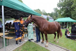 Naši psi tam ovšem nebyli sami...úžasná kobylka děla velkou společnost.