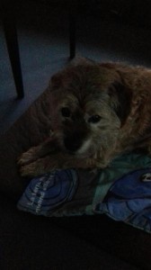 Tajně fotit jedinně večer...