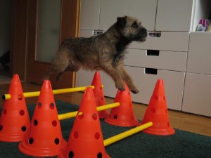 V době covidové se dá ledaccos naučit!