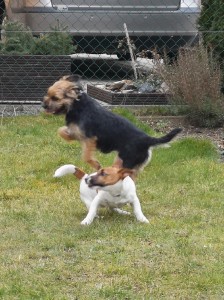 Řádění s kámošem je přímo nutnost!