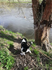 Zarek musí všechno prozkoumat.