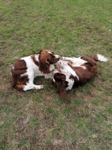 Kočkování bylo veliké!