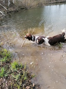 A tak výcvik ve vodě, žádný problém!