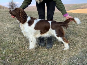 Trošké té připravy na výstavu..