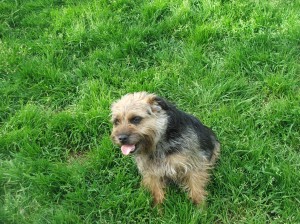 A teď už budu hodná, budu mít děti.