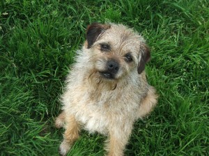 Kámoška Wandy teta Heduš.