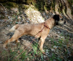 Chester Beni Ketinela - budoucí otec, čerstvě vytrimovaný fešák.