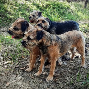 Chestík se svou domácí partou.