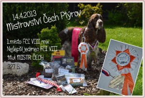 Ebigeil - šikula v coursingu.