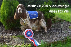 Coursing Ebi velmi bavil.