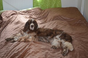 Ebi měla ráda položeníčko v posteli.