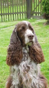 A už není mezi námi...kráska inteligentní...