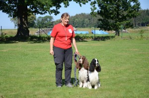 Sraz Větrňáků 2020 Iran a Vigo. Iran už tu není....je ve psím nebi.