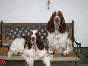 Nezapomenutelná dvojka Ebony a Exy.