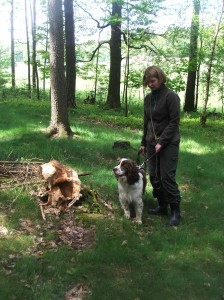 Výcvik Xanny na barvě, dosledovala srnčí deku.