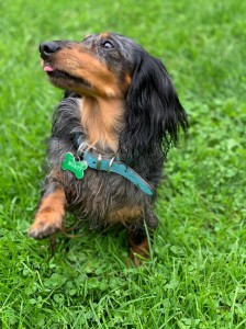 Já jsem Monty a kdo je víc!