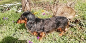 Brácha Capík - Barnabášek.