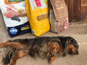 To jsem dostal ke třetím narozenínám, já padám...to nedám! (Capík - Barnabášek)