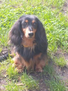 Krásná Ája - Tami