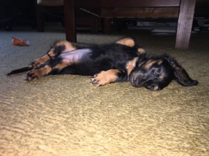 Linda si lehne kdykoliv a kdekoliv.