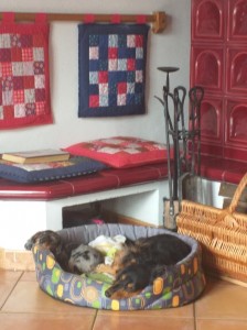 Dráček (Spotík) s naší Ájou (Tami) jsou spokojeni.