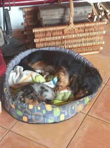 Tak co nebudete vstávat?