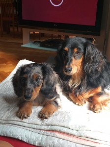 Dobré ráno, už vstáváme!